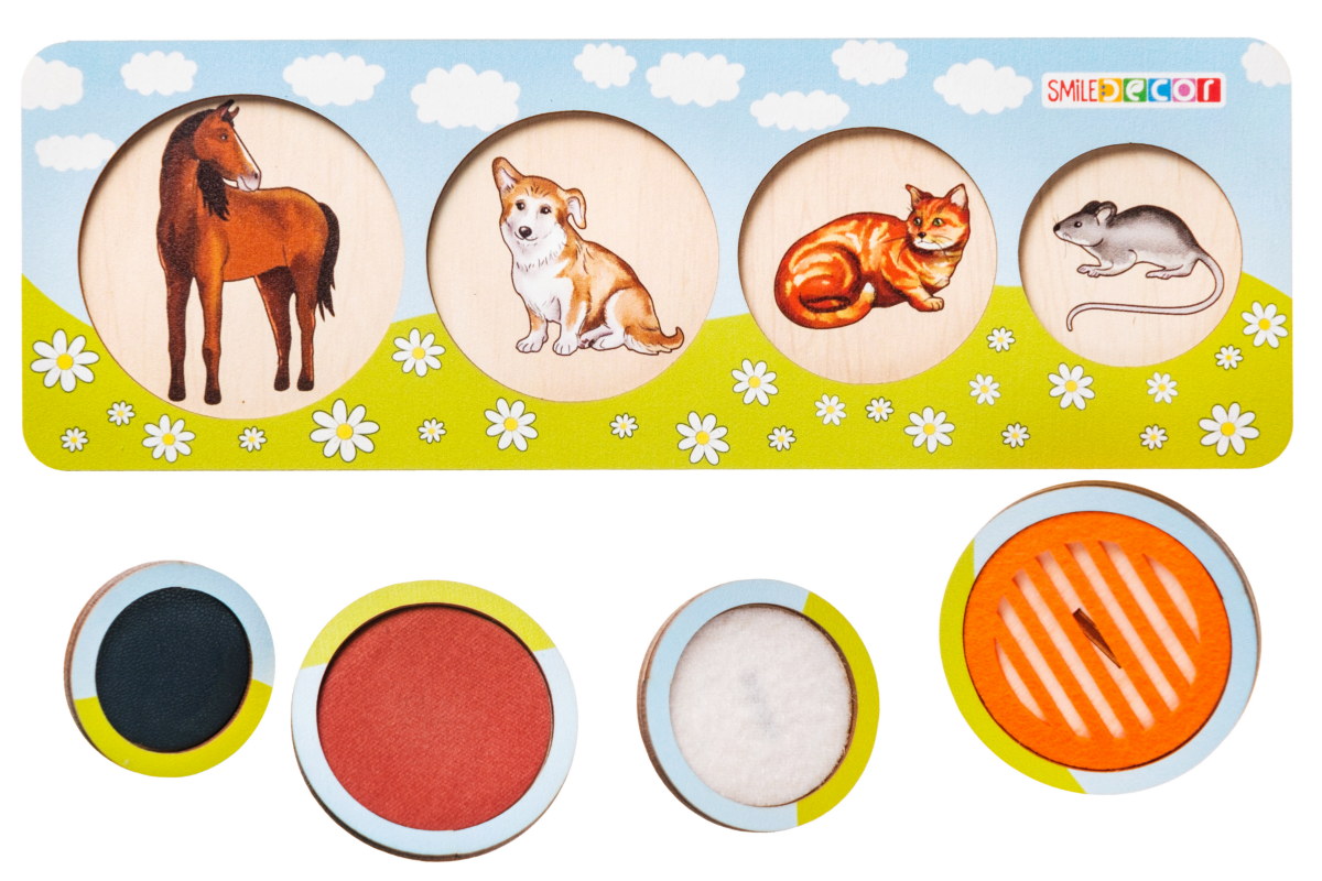 DSCF6310